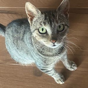 Meet your Posher, Katherine